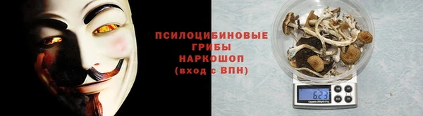 дурь Аркадак