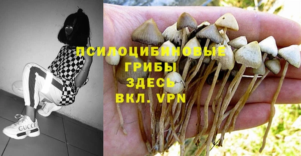 дурь Аркадак