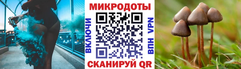 Псилоцибиновые грибы прущие грибы  Ладушкин 